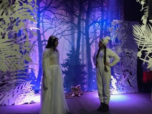 25443273_2036379786387349_6204647431469590007_n