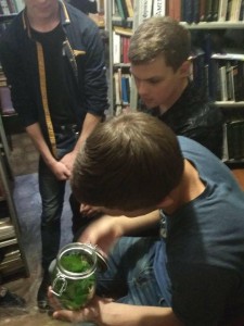 35744162_1986968391632567_634311835771731968_n